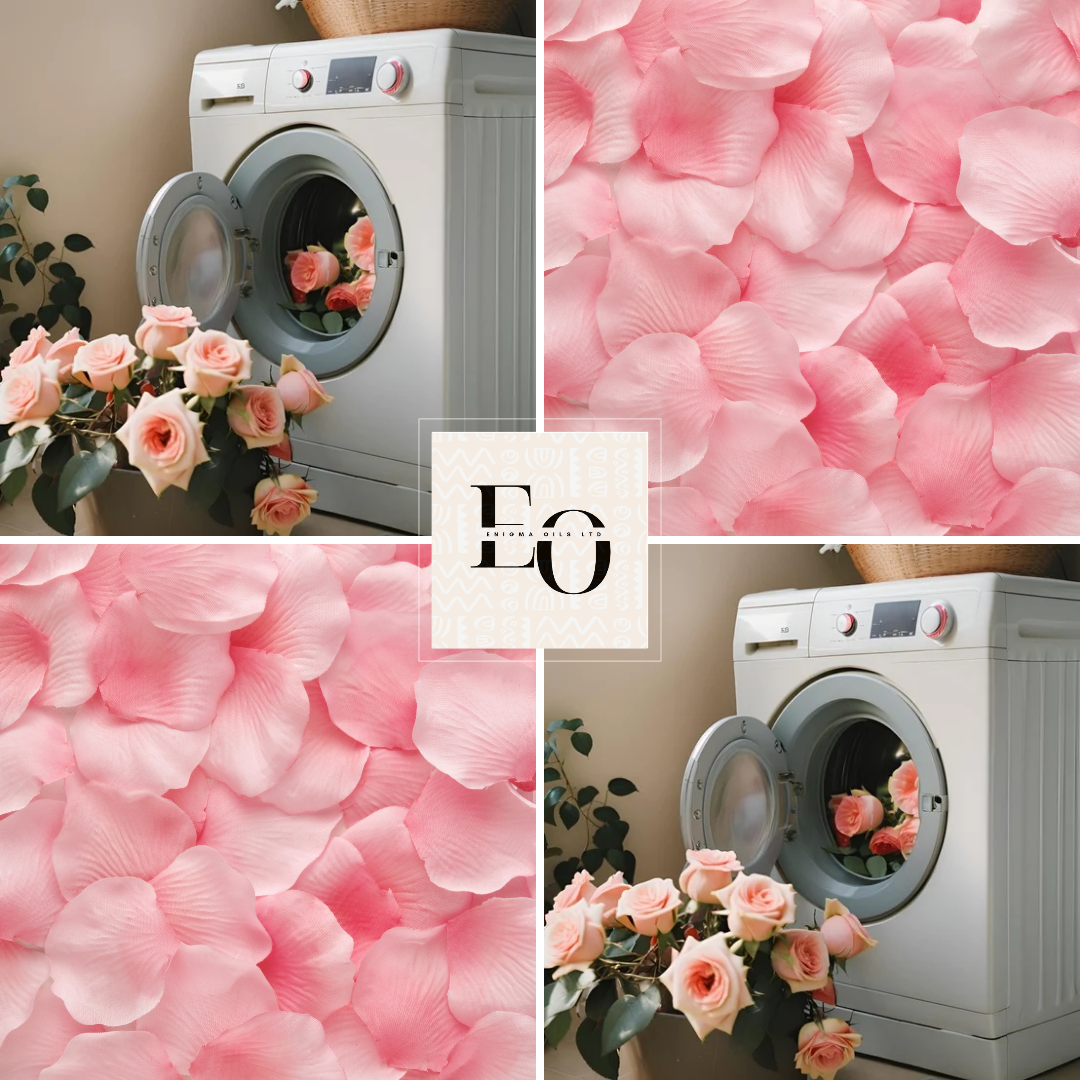 Plush Rose Fragrance Oil