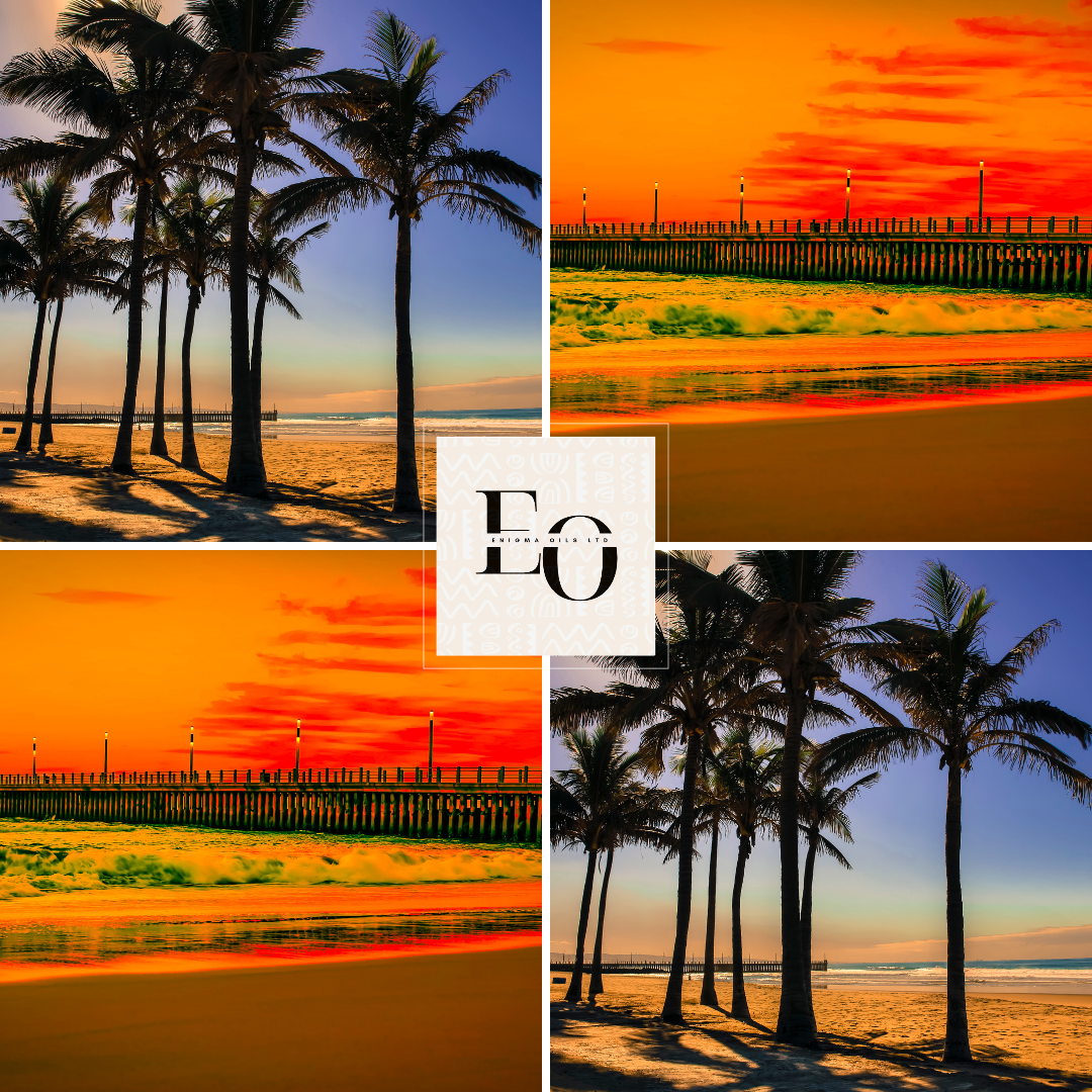 Durban Coast Fragrance Oil