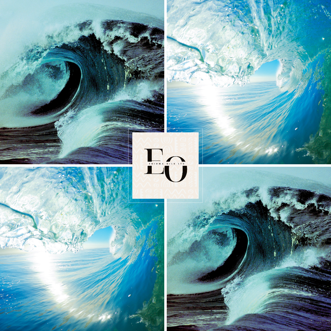 Ocean Spray Fragrance Oil